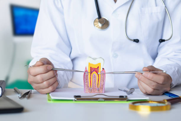 Best Urgent Tooth Repair  in Orida Ridge, FL